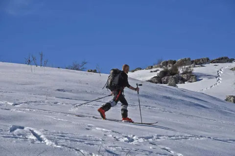 Sciatore alpinismo tra i prati innevati della Lessinia