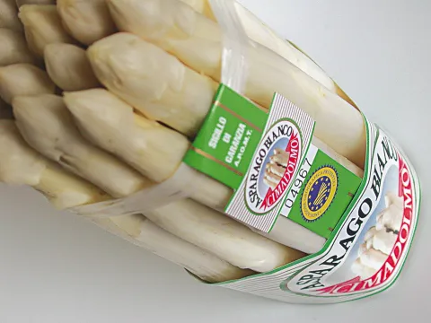 Asparago Bianco di Cimadolmo IGP
