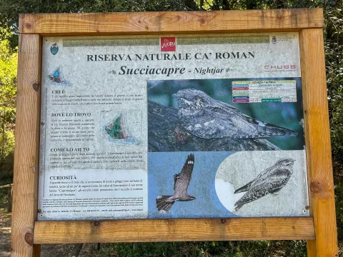 Cartellone dell'avifauna dell'Oasi di Ca' Roman sull'isola di Pellestrina