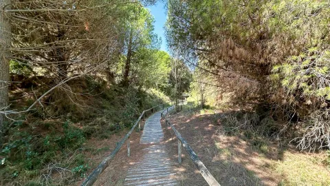 Sentiero passerella dell'Oasi di Ca' Roman sull'isola di Pellestrina