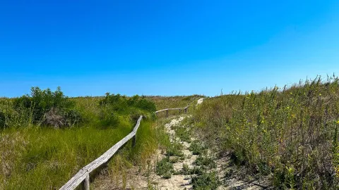 Sentiero dell'Oasi di Ca' Roman sull'isola di Pellestrina