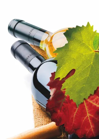 Composizione con bottiglie di vino di Arcole