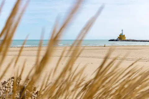 Spiaggia deserta di Cavallino Treporti vista dalla vegetazione con il faro Pagoda in lontananza