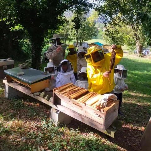 Laboratorio per bambini di apicoltura alla fattoria didattica