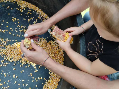 Laboratorio per bambini con pannocchie di mais alla fattoria didattica