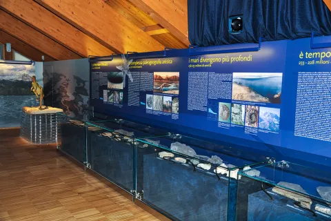 Sala della sezione paleontologica del Museo Vittorino Cazzetta di Selva di Cadore