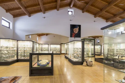 Interno Museo Camposilvano