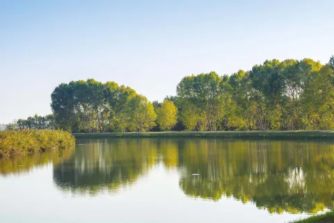 Panorama fluviale entroterra di Eraclea