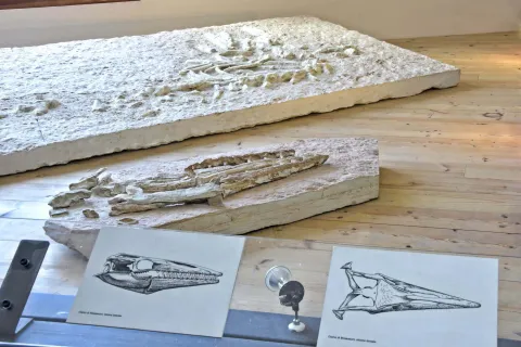 Reperti del Museo paleontologico e preistorico di Sant'Anna d'Alfaedo