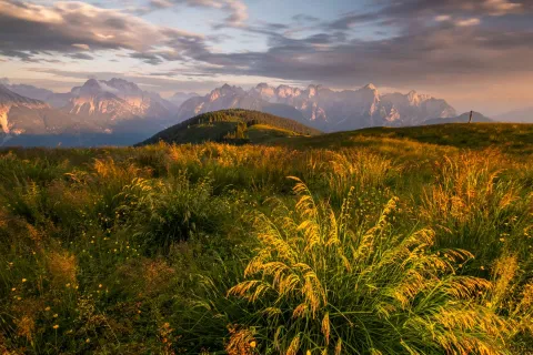 Prati del Monte Zovo lungo il Cammino degli Alti Pascoli