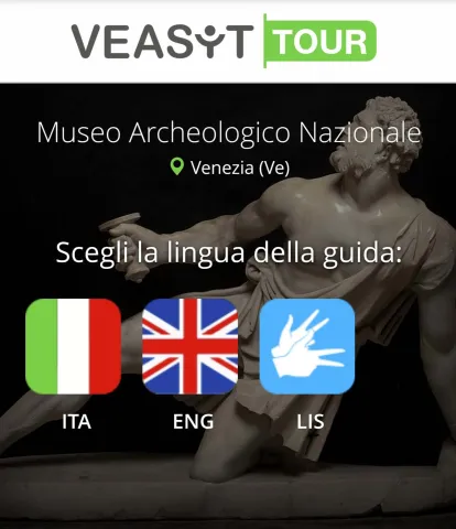 Sito di Veasyt in cui sono indicate le lingue della visita