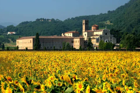 Abbazia di Praglia a Teolo con campo di girasoli fioriti